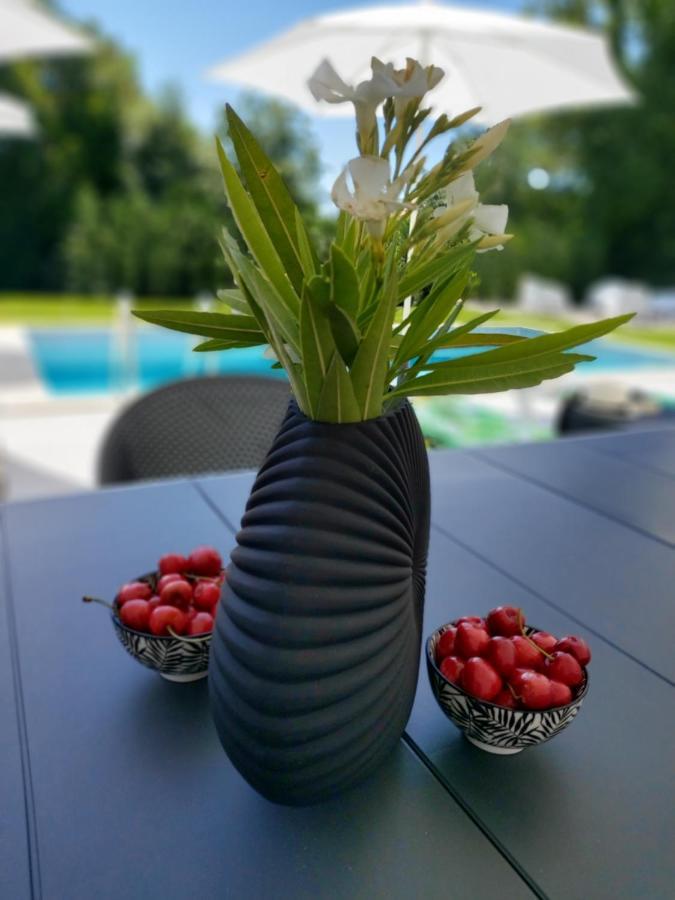 Villa Destiny Nedescina, Istrien, Kroatien 외부 사진
