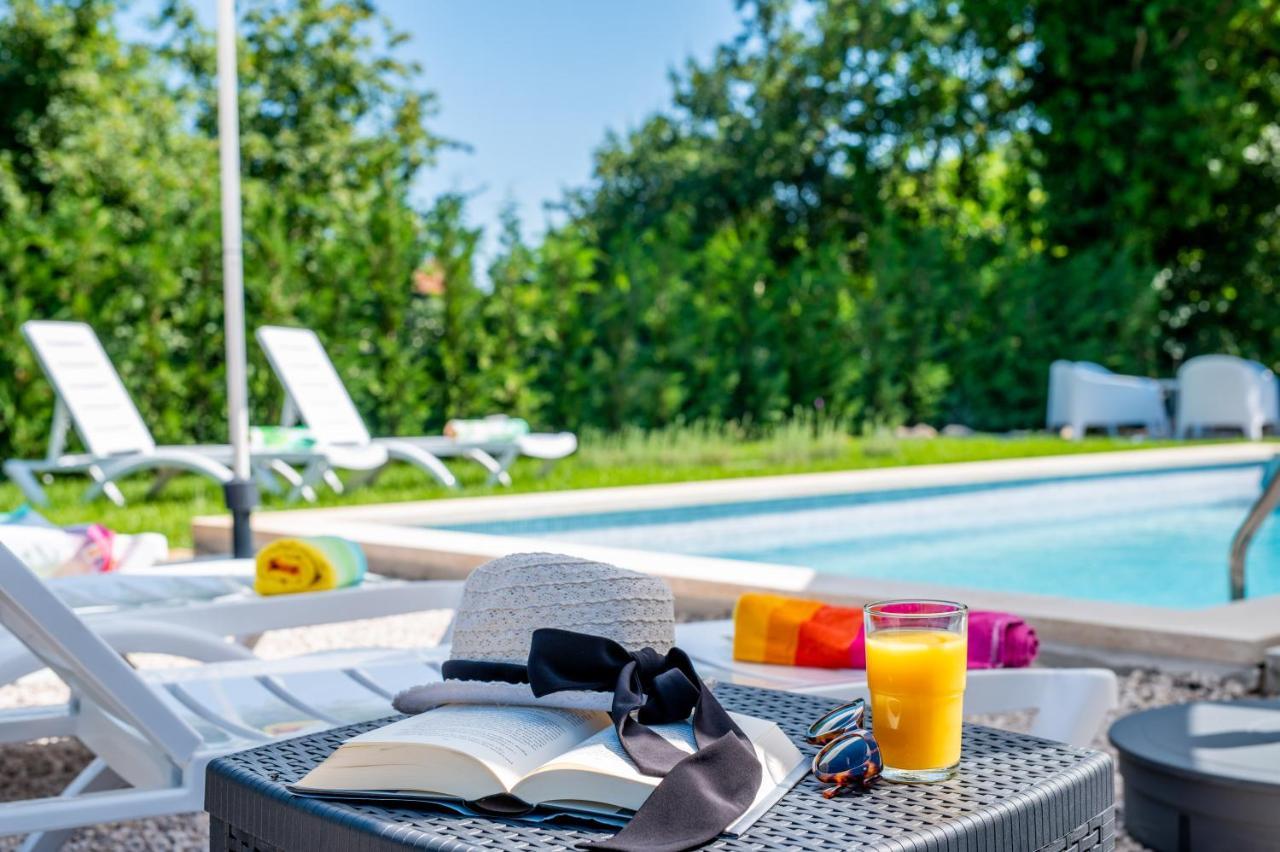 Villa Destiny Nedescina, Istrien, Kroatien 외부 사진