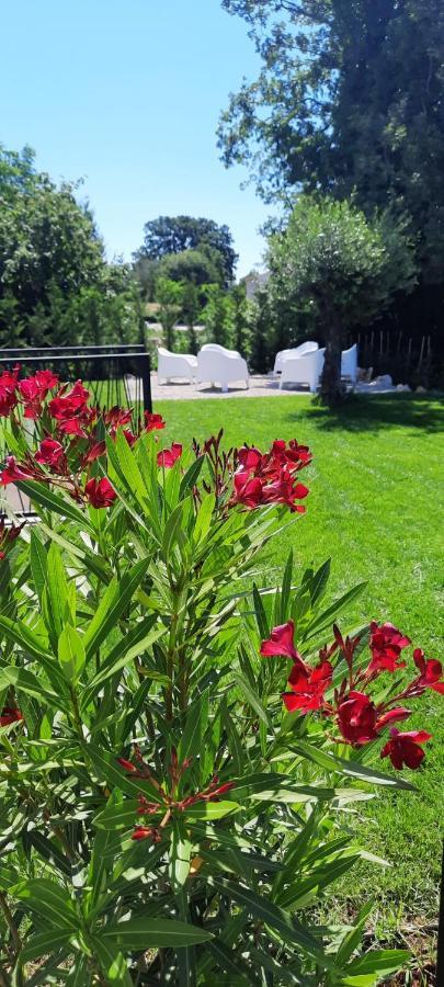 Villa Destiny Nedescina, Istrien, Kroatien 외부 사진