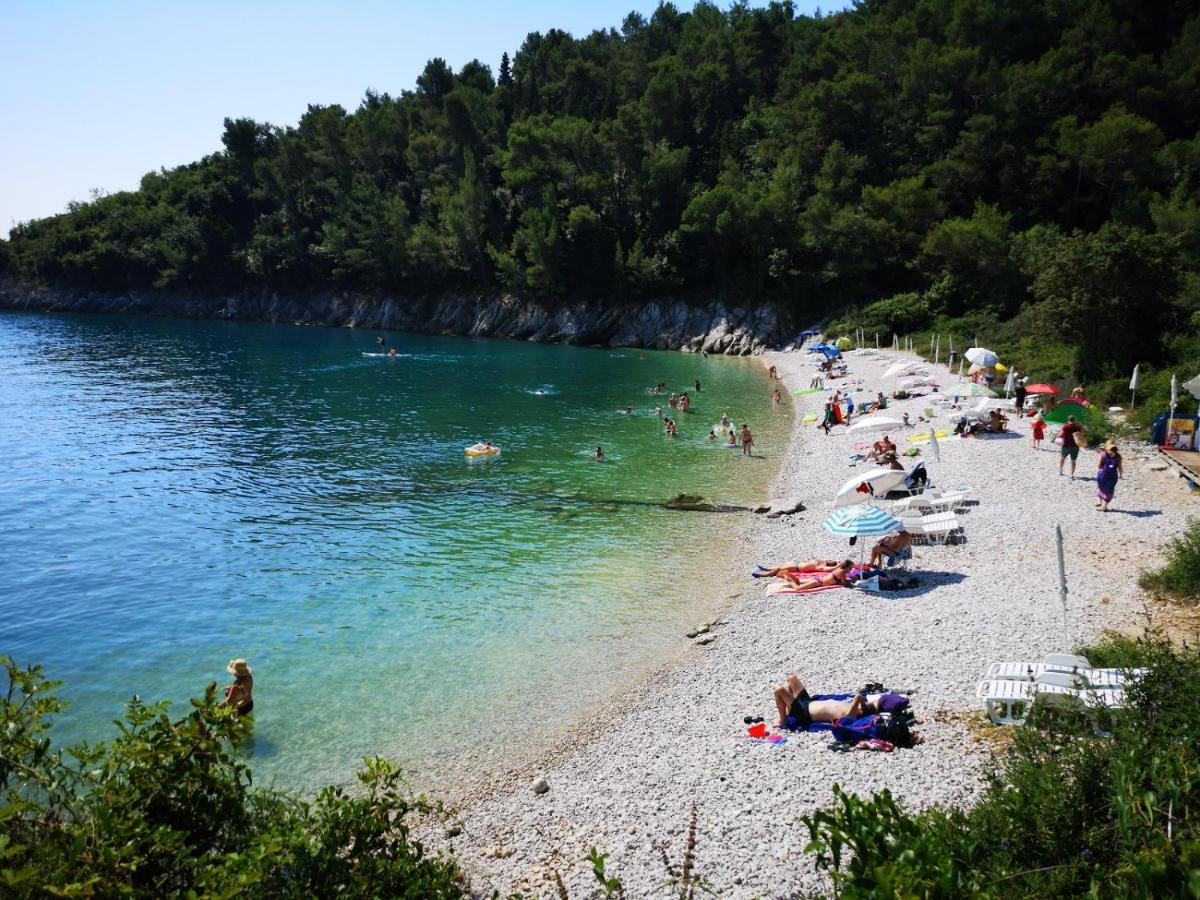 Villa Destiny Nedescina, Istrien, Kroatien 외부 사진