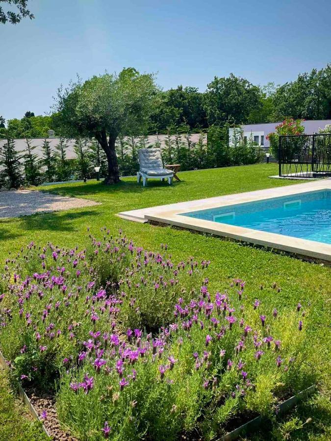 Villa Destiny Nedescina, Istrien, Kroatien 외부 사진